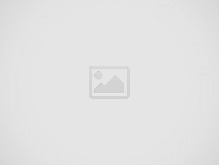 Guida alla Degustazione dell’Olio Extravergine di Oliva